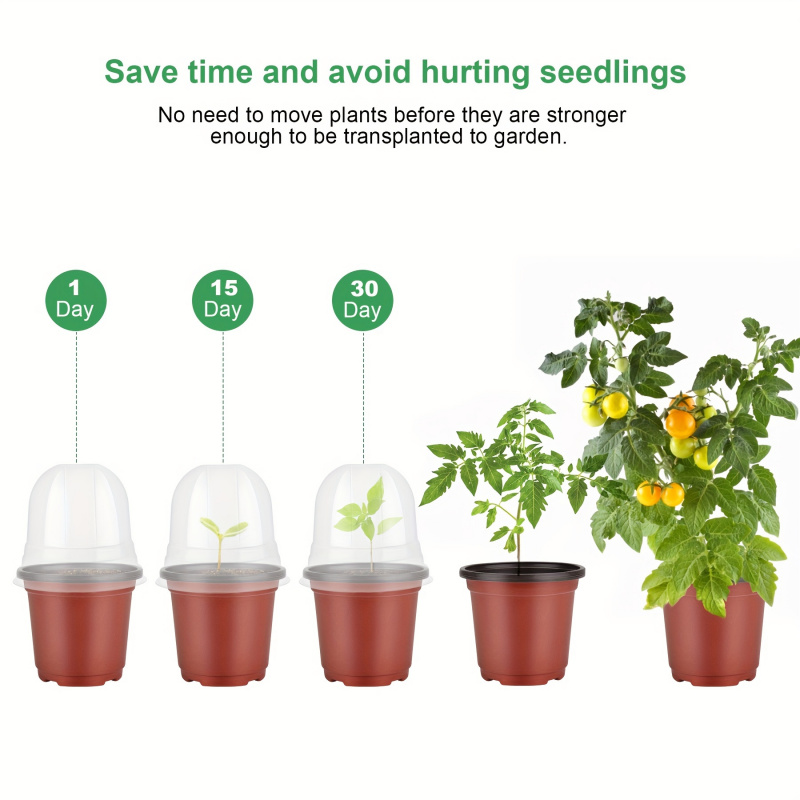 Vaso per vivaio per piante con - Baby Nursery Plants recensione e prezzo